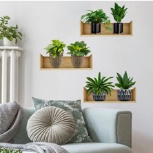 Eco Lounge Raflı Bitki Tasarımlı Yapışkanlı Sticker 20*30 cm 3lü Set