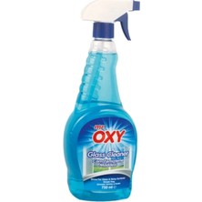 Oxy Cam Temizleme Maddesi 750 ml