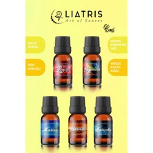 Liatris Hypnose-Marıne-Narcotıc-Hermes-Baccarat Esansiyel Uçucu Yağ 5*10 ml