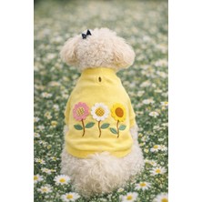 Gedyco Daisy Yellow Içi Polarlı Küçük Irk Köpek Sweatshirtü