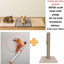 Feyza Design Yumuşak Yatak, Tırmalama Tahtası ve Oyun Oltası Seti, Kediniz Için Eğlence