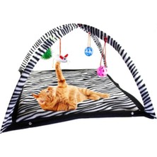 Feyza Design Zebra Desenli Askılı Kedi Oyun Yatağı, 55X55X34 Cm, Eğlenceli ve Konforlu