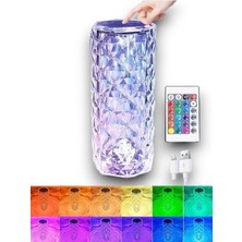 Woogitech Tekno Kristal Lamba Uygun