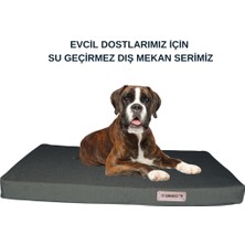 Feyza Design Yüksek Konforlu Çok Amaçlı Kedi ve Köpek Yatağı ve Minderi