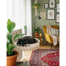 Feyza Design Kedi ve Köpek Için Rahat ve Sıcak Kalorifer Yatağı Hamak Kedi Yatağı