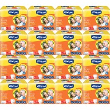 Canped Emici Külot Pants Hasta Yetişkin Bezi L - Büyük - Large Ekonomik Pk 224 Adet (16PK*14)