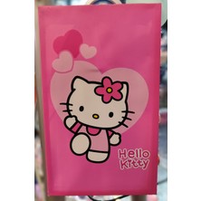 Ada Çanta Kırtasiye Sanrio Karakterleri Dekoratif Tablo (50CMX30CM) AD62287