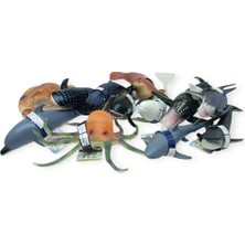 Sb Shopping - Deni̇z Hayvanlari Di̇splay