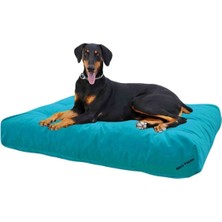 Feyza Design Ultra Yumuşak Büyük Irk Köpek Yatağı Elyaf Dolgulu ve Yıkanabilir