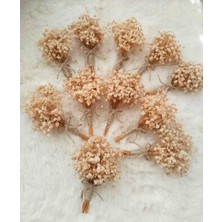 10 Adet Sağdıç Yaka Çiçeği & 1 Adet Damat Yaka Çiçeği (Gerçek Şoklanmış Cipsodan)