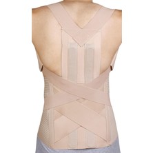 Kifidis Dorsoflex  Korse Std - Dik Duruş ve Bel Fıtığı Destek Korsesi MLE07001-M: 69-87 cm