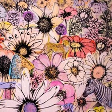 Plak İstasyonu Maroon 5 Jordi Lp Plak