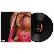 Allians Kamufle – Tüm Suç Ritimleri Vinyl, Album, Lp, Reissue Plak