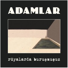 Allians Rüyalarda Buruşmuşuz Plak, Dinamik ve Enerjik Müzik Keyfi