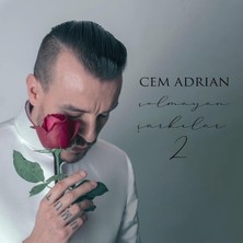 Allians Solmayan Şarkılar Vol.2 Plak, Eşsiz Müzik Keyfi Için Tasarlandı