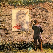 Allians Nilüfer Eserliği, Nostaljik ve Zarif Dekoratif Tablo