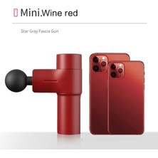 Feyza Design 4 Başlıklı Taşınabilir Şarjlı Mini Masaj Tabancası