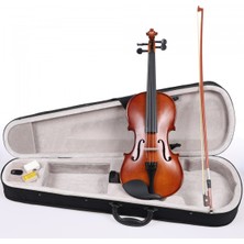 Allians 3/4 Mat Cilalı Keman, Profesyonel ve Zarif Tasarım