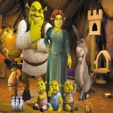 Savarga Sh 709 Shrek Puzzle 50 Prç