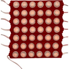 Powerr Led Aydınlatma 100 Adet 12 Volt 6 Watt 6 Lensli Kırmızı 3030 Smd LED Modül IP65 1 Paket
