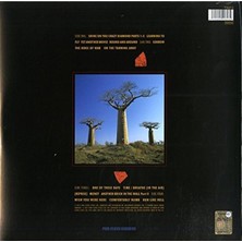Allians Delicate Sound Of Thunder: Live 2lp - Canlı Performans, Klasik Rock Koleksiyonu