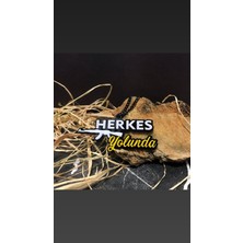 Pi Dekorasyon Herkes Yolunda Ayna Süsü Pleksi