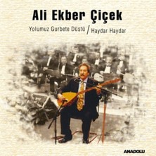Allians Haydar Haydar Plak - Geleneksel Türk Müziği, Canlı ve Ritmik Melodiler