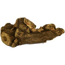 OEM Doğal Ravent Kökü 100 gr Paket