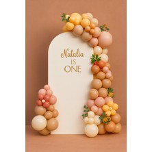 Balon Seti 120 Adet ( Pink Blush-Hazelnut-Şeftali-Beyaz )