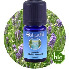 Oshadhi Lavender Spıke 10ML,LAVANDULA Latifolia