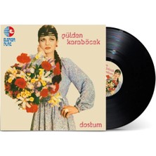 Allians Gülden Karaböcek'in Dostum Şarkısı Plak, Nostaljik Müzik Keyfi