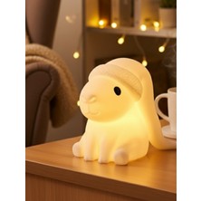 Pammuks Dekoratif Yılbaşı Konseptli Gece Lambası Pilli Aydınlatma Ev Hediyesi