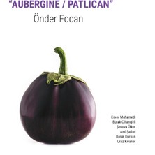 Allians Önder Focan Plak Aubergine Patlıcan Müzik Albümü