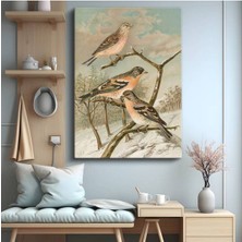TosbArt John Gould Kış Kuşları Doğa Sanatı Kanvas Tablo Sanat Tablosu Ressam Tablosu