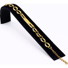 Pangu Altın Renk Gurmet Zincir Detaylı Çelik Bileklik