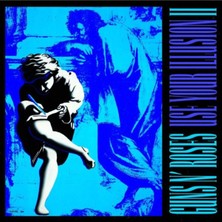 Allians Yabancı Plak, Guns N' Roses, Use Your Illusion 2, 2 Lp, Vinil Koleksiyonu