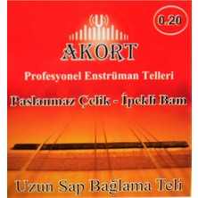 Allians Akort Uzun Sap Bağlama Saz Teli 0.20 + Tezene, Kaliteli Müzik Aleti Aksesuarı