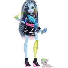 Monster High Ana Karakter Bebekler Frankie Stein JHK31