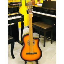 Allians Tam Boy Klasik Gitar, Kılıf ve Penase With Kapo Hediye