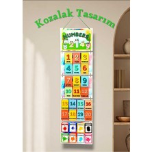 Kozalak Tasarım Numbers (Sayılar)-Colors (Renkler) Afişi Okul ve Sınıflar Için Pvc Kaplı 4 Parça Afiş 30*100 cm