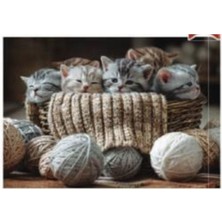 Allians Renkli 34X49 cm 500 Parça Yapboz, Sepetteki Sevimli Kedicikler