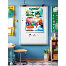 Kozalak Tasarım Mevsimler Afişi Okul ve Sınıflar Için Pvc Kaplı Tek Parça Büyük Boy (A3) Afiş 30*42 cm