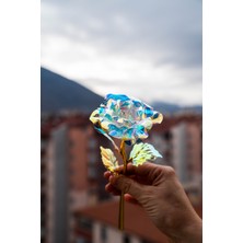 PremiumPort Sonsuzluk Gülü, Sevgililer Günü Için Özel Hediye, Kalıcı ve Şık Dekor