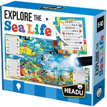 Allians Deniz Canlıları Öğrenme Seti, Eğlenceli ve Eğitici Oyuncak