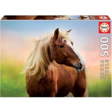 Allians 500 Horse At Sunrıse Fsc, Dayanıklı ve Şık Spor Ayakkabı