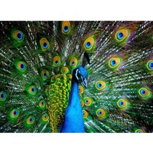 Allians Renkli 1000 Parça Puzzle, Zaman Teması ile Eğlenceli ve Öğretici Aktivite