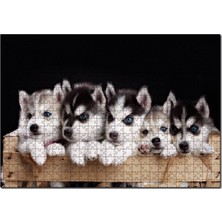 Allians Tahta Kasa Içinde Beş Husky Yavrusu 1000 Parça Puzzle Yapboz Mdf