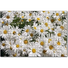 Allians Beyaz Papatya Temalı 1000 Parça Ahşap Puzzle, Çocuk ve Yetişkinler Için Eğlenceli
