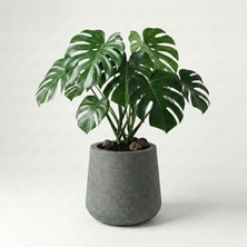 Beton Saksı 20X24X25