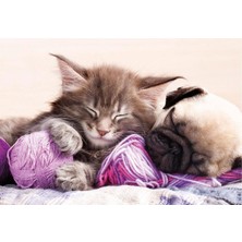 Allians Rüya Arkadaşları 500 Parça Puzzle, Eğlenceli ve Zihni Geliştiren Aktivite